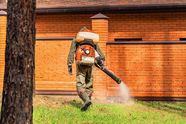Bed Bug Clearance Verification and Documentation in Rio Rico